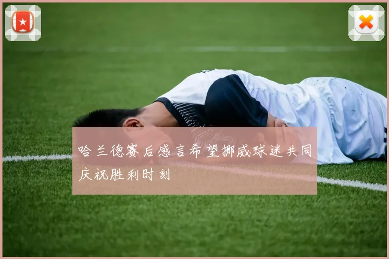 哈兰德赛后感言希望挪威球迷共同庆祝胜利时刻